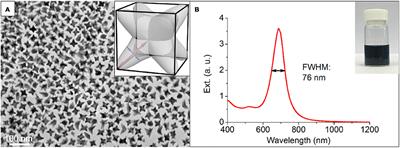 Synergistic Reducing Effect for Synthesis of Well-Defined Au Nanooctopods With Ultra-Narrow Plasmon Band Width and High Photothermal Conversion Efficiency